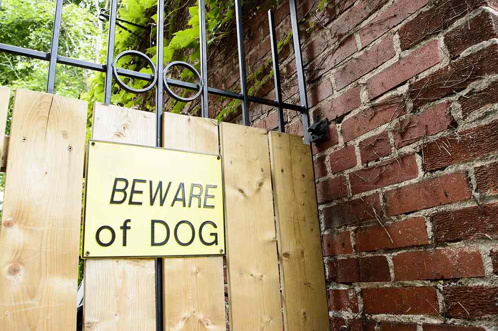 Beware of dog sign on gate