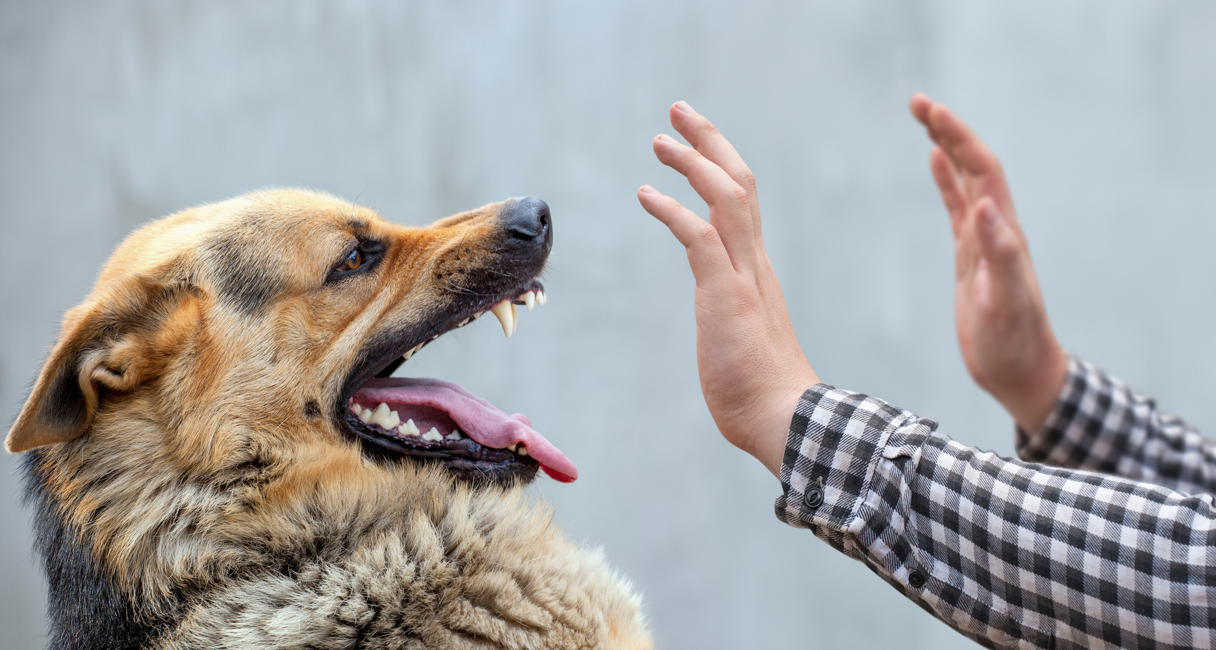 Istock 883803300