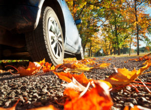 Car on asphalt road in autumn