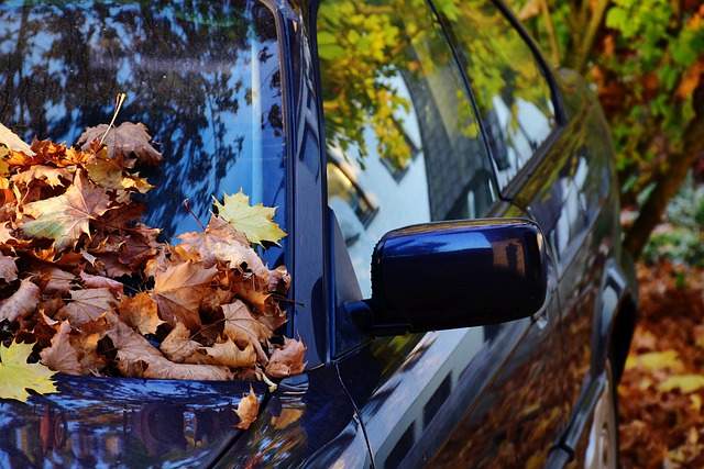 It’s Time To Complete Your Fall Car Safety Checklist